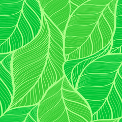  seamless background of green leaves vector illustration