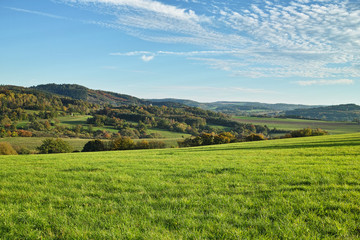 Fototapeta premium green meadow and hills with forest