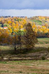 scenic view of rural countryside