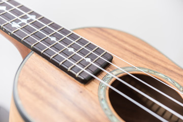 Obraz premium Ukulele
