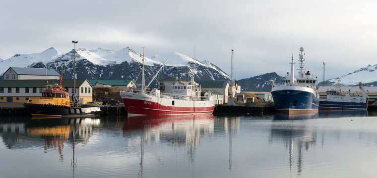 Fototapeta Hofn Fishing Harbor, Iceland