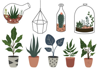 Vector set with succulents flowers, cactus, ficus, glass terrariums and other home plants. 