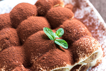 Tiramisu on the plate on the wooden background
