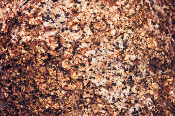 Abstract texture of the stone Stone