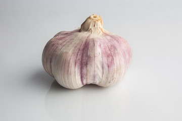 Whole garlic on white background with reflection