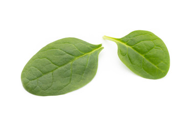 Spinach on the isolated white.