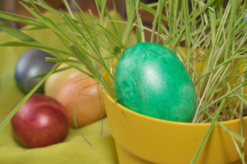 Easter colored eggs