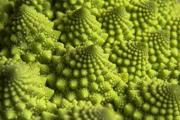 Roman broccoli close-up