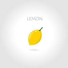 lemon vector illustration