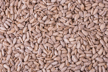 Sunflower seeds background (macro)