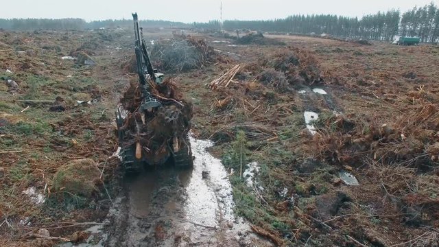 Aerial view of heavy machine moves over Deforestation