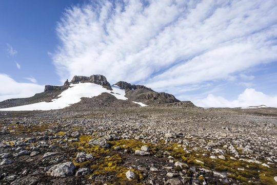 Subantarctic landscape