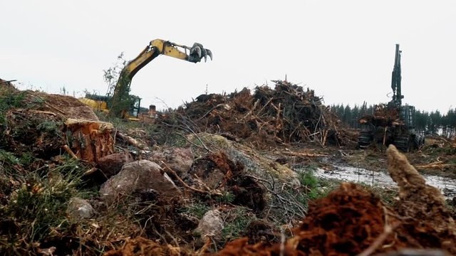Heavy machines in Deforestation. Shoot with slider