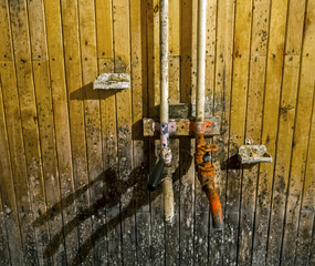 Mould stains on wooden wall