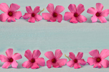 Background with floral borders and copy space