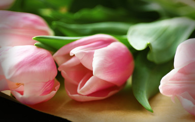 Bouquet of pink tulips on wrapping paper, close up