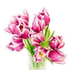 Obraz premium Pink tulips bouquet in vase. Isolated over white background. Top view, selective focus