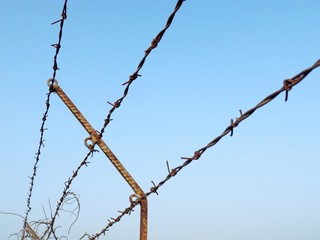Barbed wire