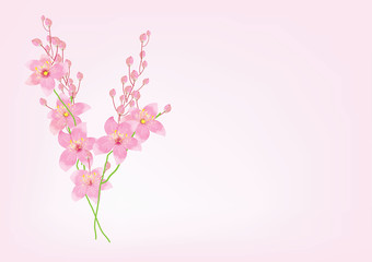 branch of pink flowers on pink background