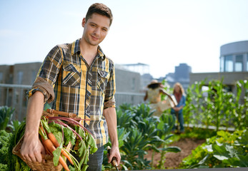 Friendly man harvesting fresh vegetables from the rooftop greenhouse garden
