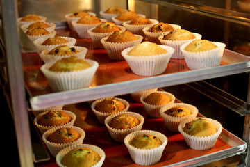Baking bakery products