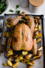 stuffed whole chicken