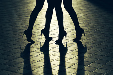 Female legs in stylish shoes