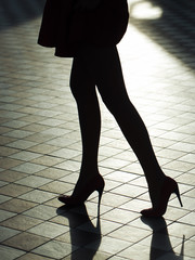 Female legs in stylish shoes