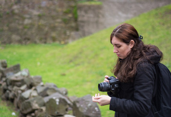 Fototapete bei efototapeten.de bestellen   