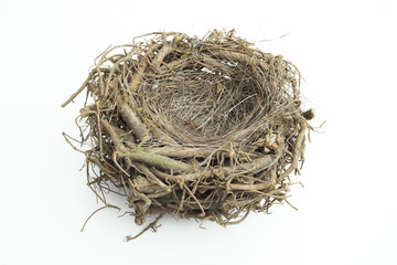 Bird nest with isolated background