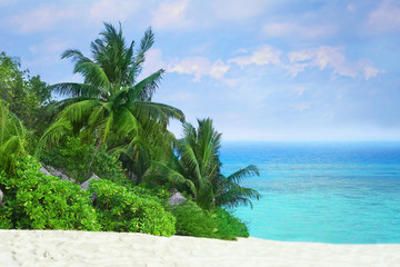 Tropical beach with trees and bushes.