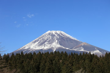 富士山