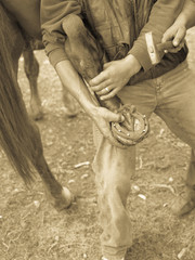 horse shoeing in romania 8