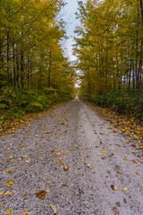 the view down a scenic country roadway in autumn landscape