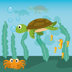 Sea Fauna graphic design, vector illustration