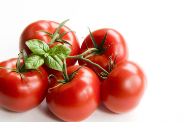 Cluster of Tomatoes with Basil