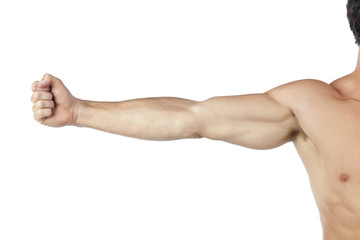 muscular arm - obrazy, fototapety, plakaty