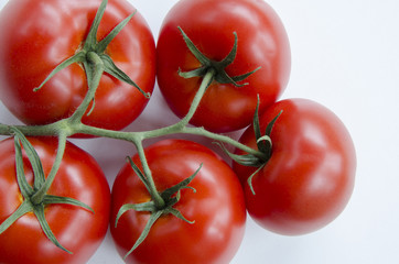 A cluster of five tomatoes on a white backgound