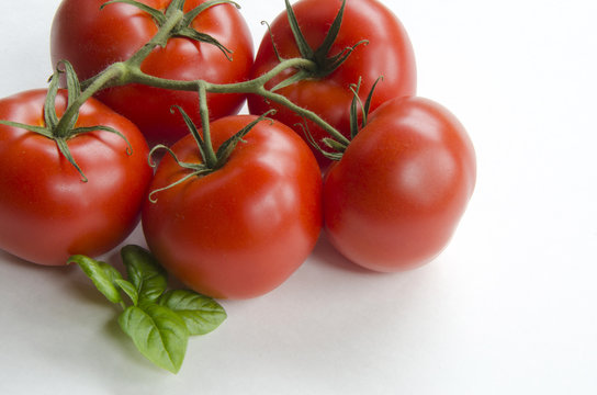 A Cluster Of Five Tomatoes With A Spig Of Basil