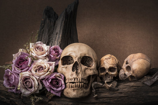 Still life painting photography with three human skulls and roses on timber background, love and horror halloween darkness concept