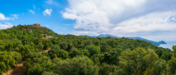 Beautiful panorama of mountain forests on the coast