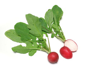 fresh red radish close up in white #2