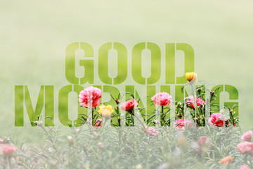 Good morning on colorful flower background