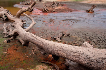 Cracked soil under reservoir caused by severe drought in Feb. 2016 in Chiang Mai, Thailand