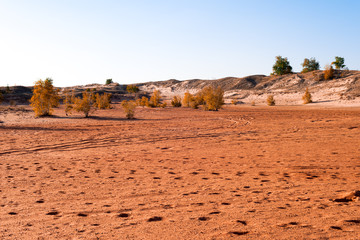 Red "Martian" landscape of reddish sand with high iron content with a few trees in the background © sytilin