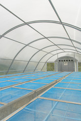 inside of solar energy plant drying greenhouse for dried product