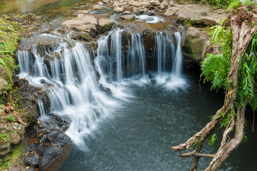 Fototapeta na wymiar Waterfalls in Vallee des Couleurs. National Park Cascades. Mauritius Island