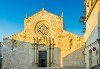 Fototapeta premium ancient seaside town on the coast of Apulia