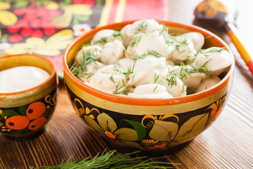 Hot Russian dumplings served dill on plate, selective focus