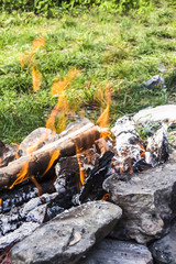 in the afternoon the fire burning in nature